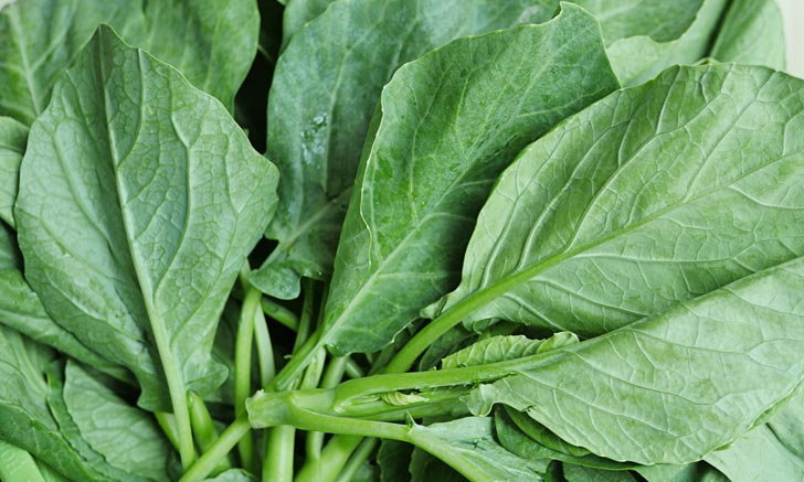 5 คุณ ประโยชน์ของผักใบเขียวคะน้า